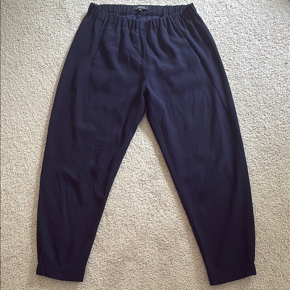Babaton Navy Blue Trousers